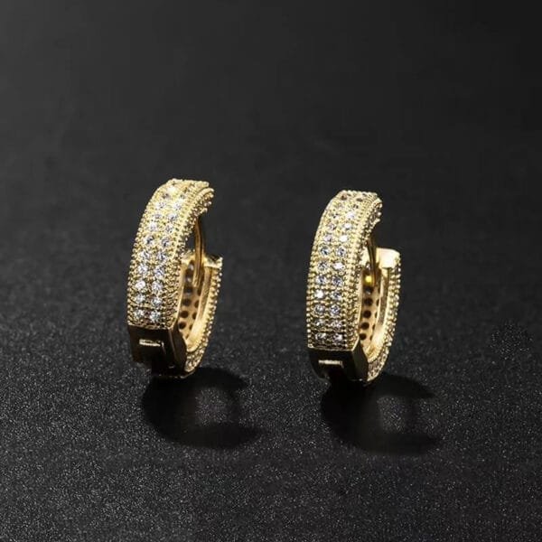 Iced Out Hoop Earrings Hypoallergenic - Image 11