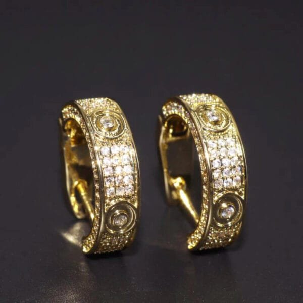 Iced Out Hoop Earrings Hypoallergenic - Image 9