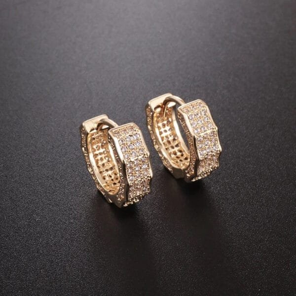 Iced Out Hoop Earrings Hypoallergenic - Image 17