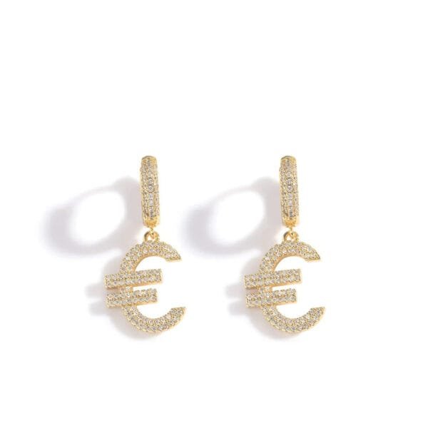 Iced Out Hoop Earrings Hypoallergenic - Image 47