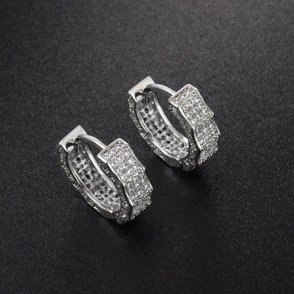 Iced Out Hoop Earrings Hypoallergenic - Image 18