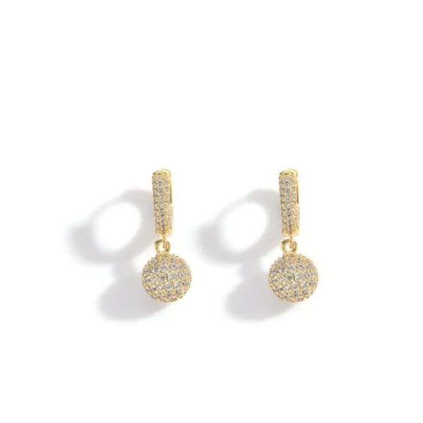 Iced Out Hoop Earrings Hypoallergenic - Image 46